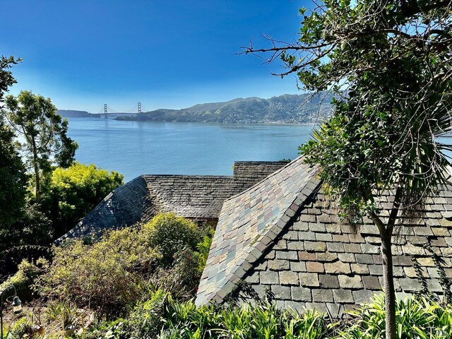 view of water feature with a mountain view