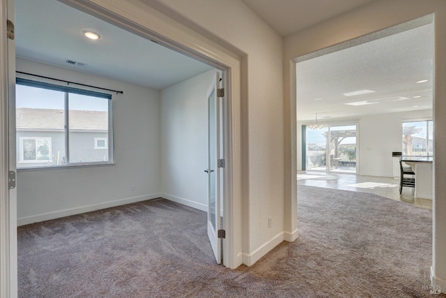 corridor with a wealth of natural light and carpet floors