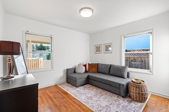 living room featuring wood-type flooring