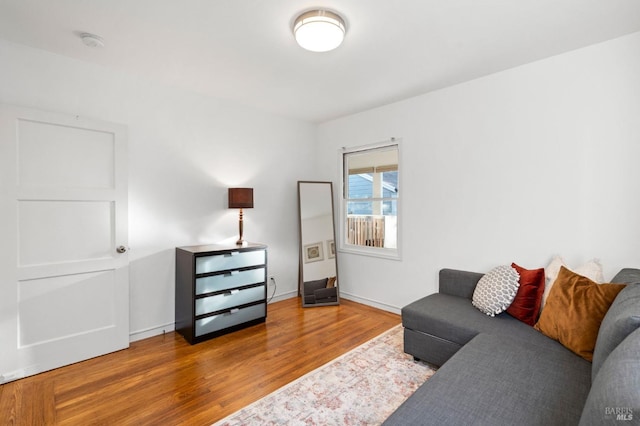 living room featuring hardwood / wood-style floors