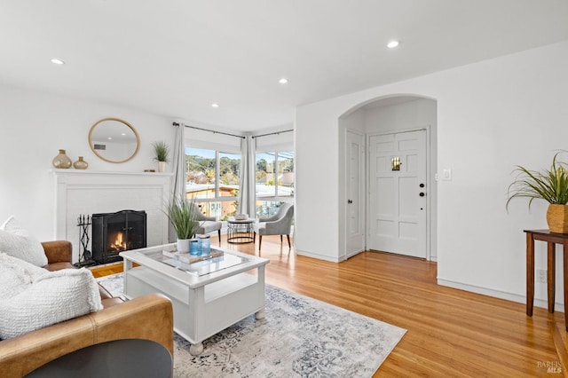 living room with a fireplace and light hardwood / wood-style floors