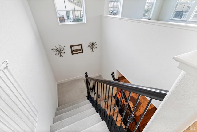 stairs with carpet flooring