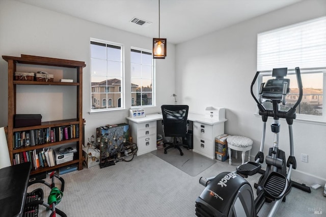 office with light carpet and a wealth of natural light