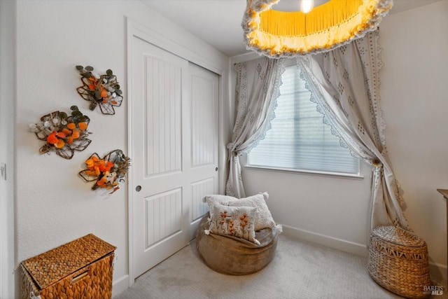 sitting room featuring carpet flooring