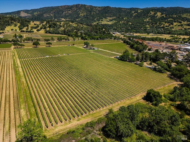 bird's eye view featuring a rural view