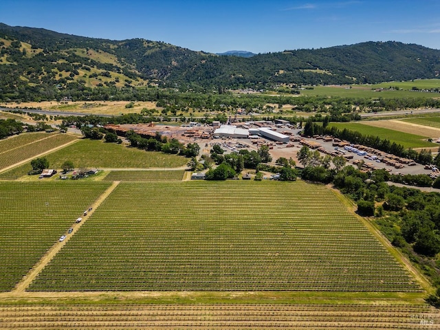 birds eye view of property featuring a mountain view and a rural view