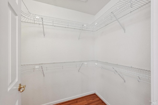 spacious closet featuring hardwood / wood-style floors