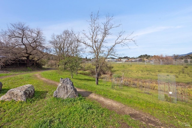 view of yard featuring a rural view