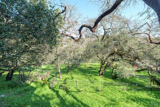 view of landscape