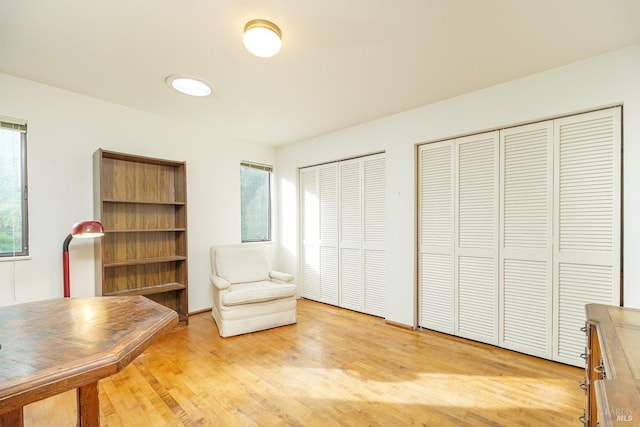 sitting room featuring light wood-style flooring and a healthy amount of sunlight