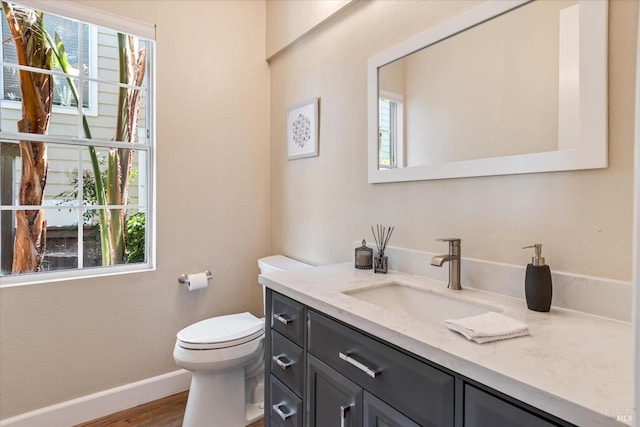 bathroom featuring vanity, toilet, and wood-type flooring