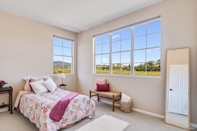 view of carpeted bedroom