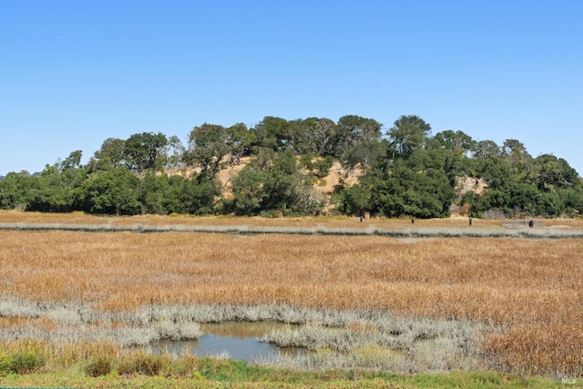 view of nature with a rural view