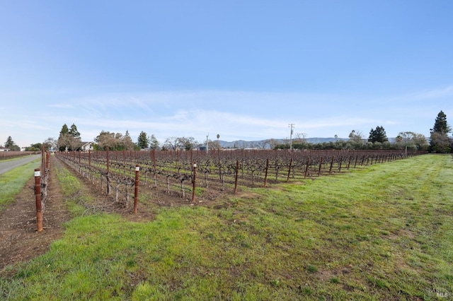 Listing photo 2 for 1076 Orchard Ave, Napa CA 94558