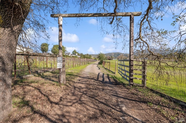 view of yard featuring a rural view