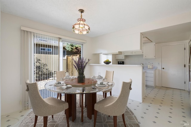 dining space featuring a textured ceiling