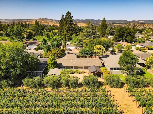 1077 Valley View St, Saint Helena, CA 94574 - drone / aerial view