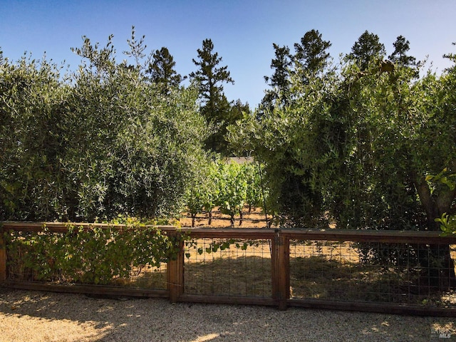 1077 Valley View St, Saint Helena, CA 94574 - view of gate