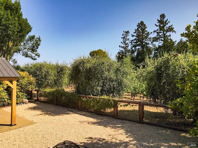 1077 Valley View St, Saint Helena, CA 94574 - view of yard