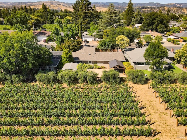 1077 Valley View St, Saint Helena, CA 94574 - drone / aerial view