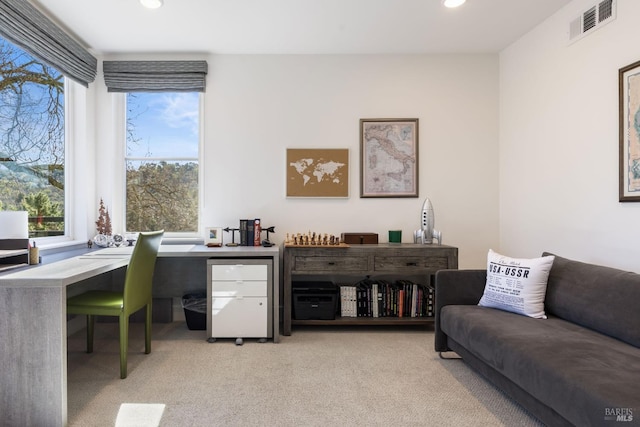 office space with light colored carpet