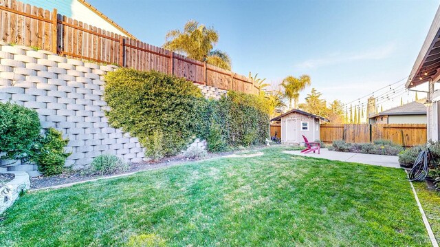 view of yard featuring a patio area, a storage shed, a fenced backyard, and an outbuilding
