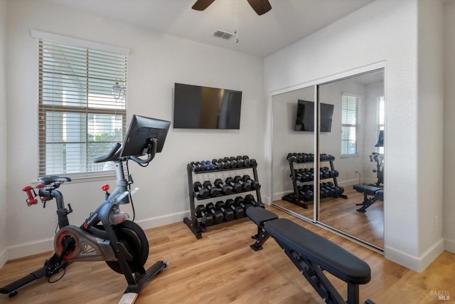 exercise room with ceiling fan and hardwood / wood-style floors