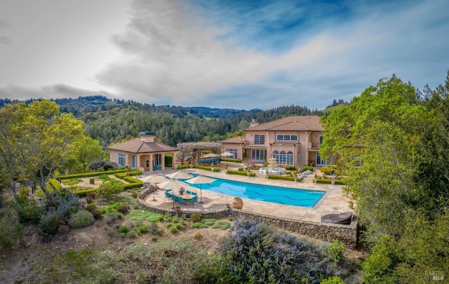 view of pool with a patio