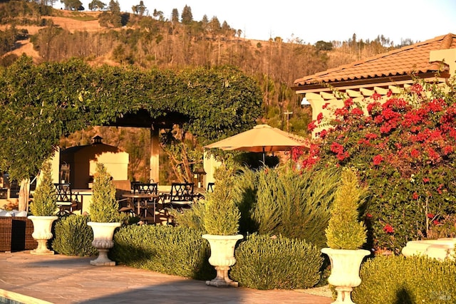 exterior space featuring a mountain view and a patio area