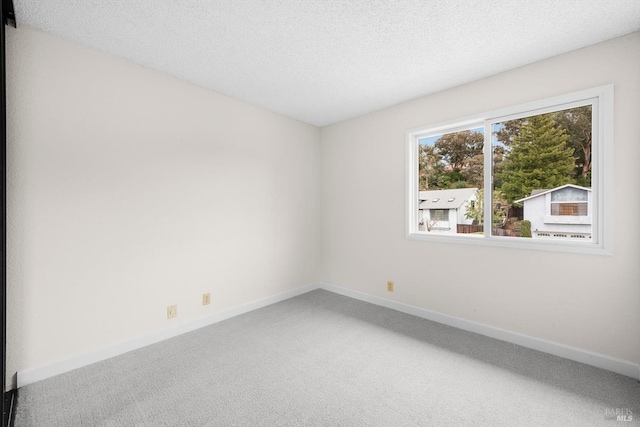 empty room with carpet flooring and a textured ceiling