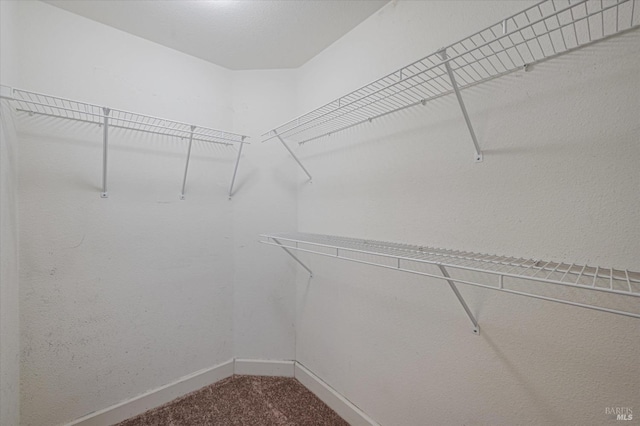 walk in closet featuring carpet floors