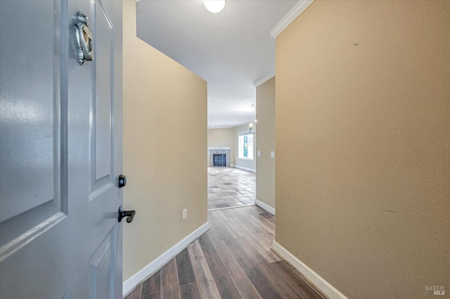 corridor featuring crown molding and dark hardwood / wood-style floors