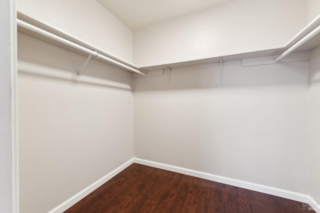 spacious closet featuring hardwood / wood-style floors