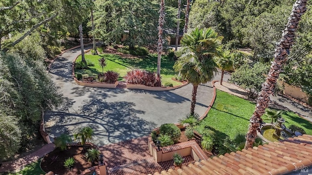107 Deer Hollow Rd, San Anselmo, CA 94960 - aerial view