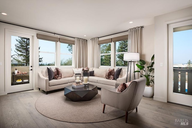 living room with wood-type flooring
