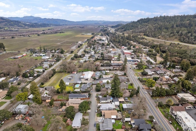 birds eye view of property featuring a mountain view