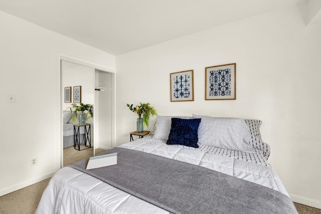 bedroom featuring carpet and a closet