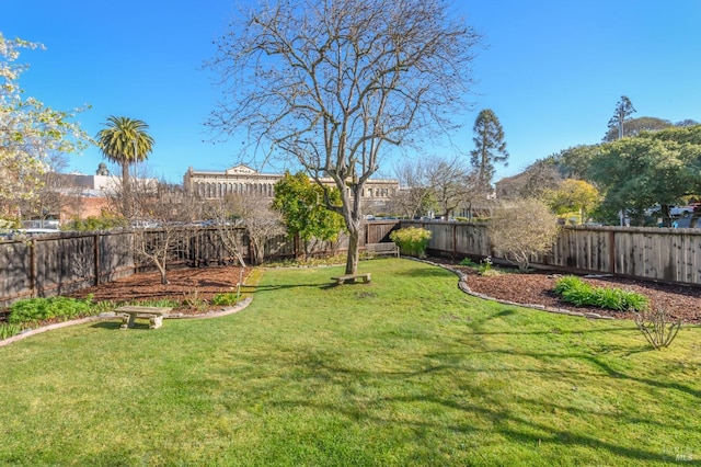 view of yard
