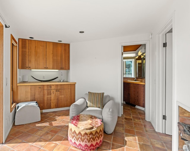 sitting room with sink