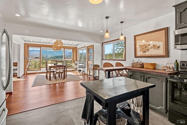 kitchen with stainless steel appliances, wood finished floors, decorative light fixtures, and a healthy amount of sunlight