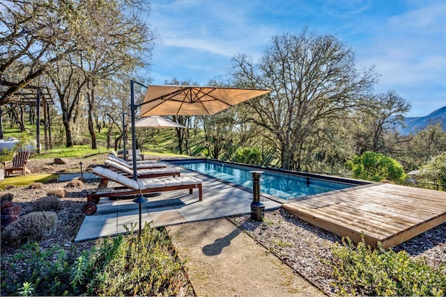 pool with a patio