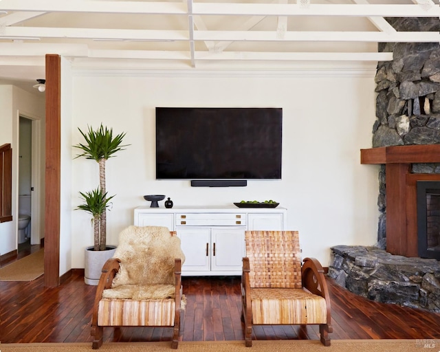 living area featuring a fireplace and dark wood finished floors