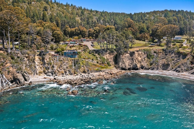 drone / aerial view with a water view and a wooded view