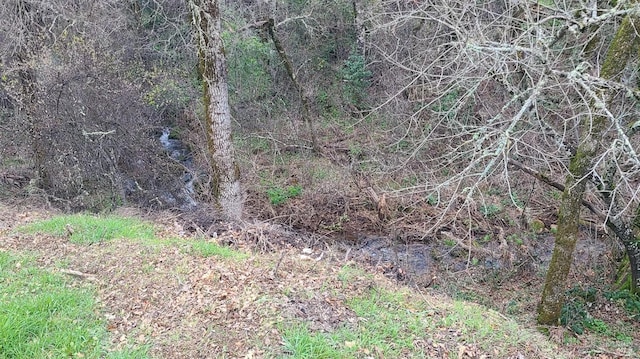 view of landscape