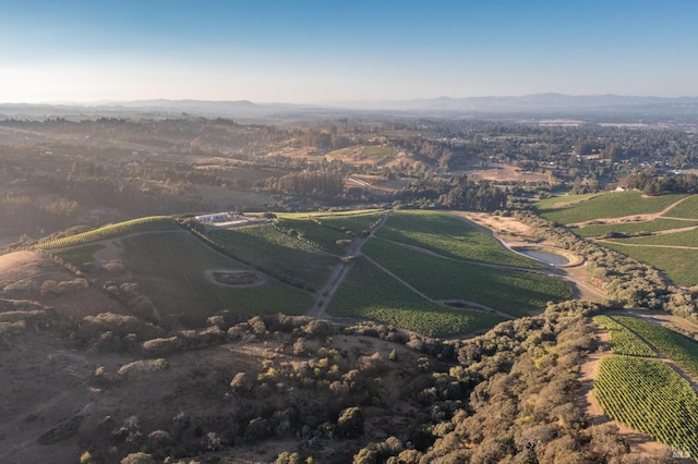 drone / aerial view featuring a rural view