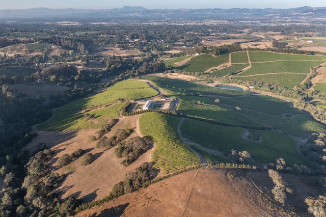 birds eye view of property with a mountain view and a rural view