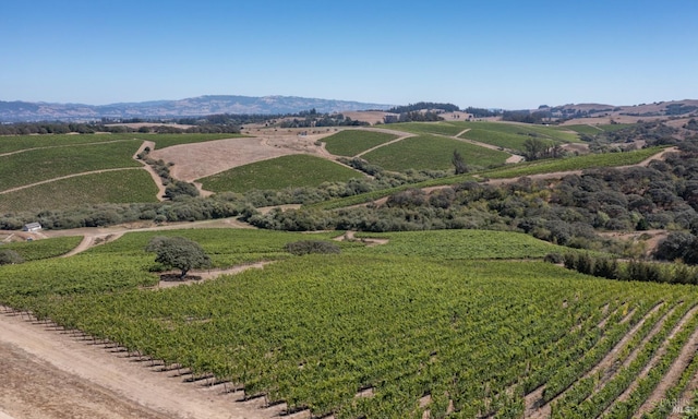 drone / aerial view with a mountain view and a rural view