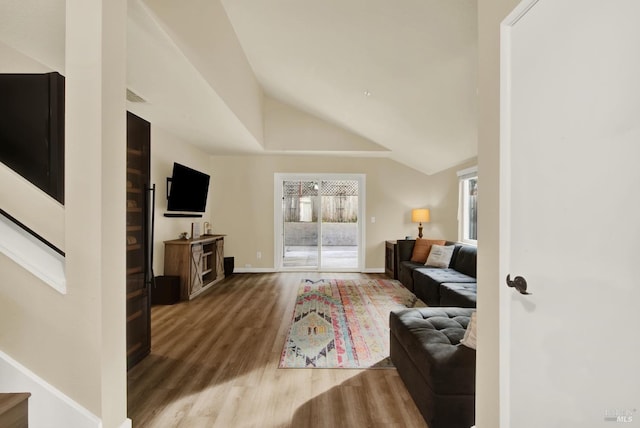 living room with vaulted ceiling and wood-type flooring