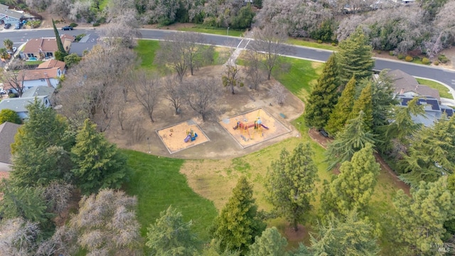 drone / aerial view