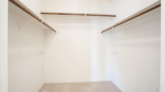 spacious closet with light colored carpet